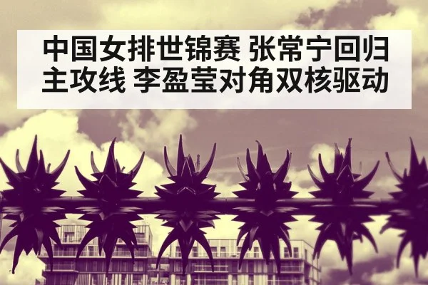 Li Yingying spike