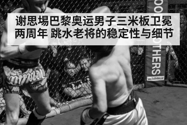 谢思埸巴黎奥运男子三米板卫冕两周年 跳水老将的稳定性与细节